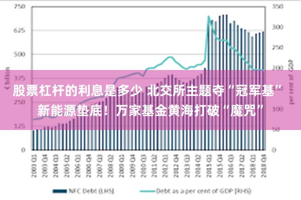 股票杠杆的利息是多少 北交所主题夺“冠军基” 新能源垫底！万家基金黄海打破“魔咒”