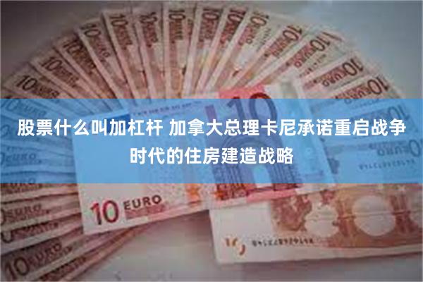 股票什么叫加杠杆 加拿大总理卡尼承诺重启战争时代的住房建造战略