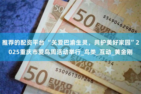 推荐的配资平台 “关爱巴渝生灵，共护美好家园”2025重庆市爱鸟周活动举行_鸟类_互动_黄金刚