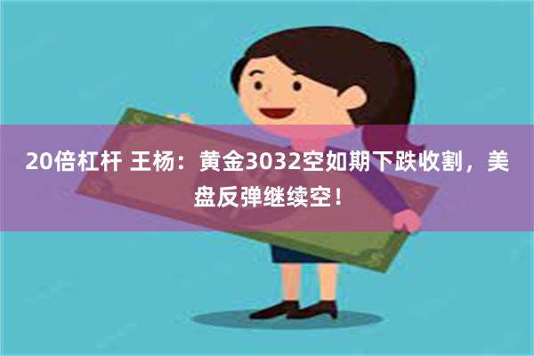 20倍杠杆 王杨：黄金3032空如期下跌收割，美盘反弹继续空！