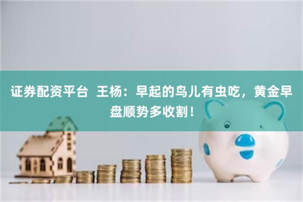 证券配资平台  王杨：早起的鸟儿有虫吃，黄金早盘顺势多收割！