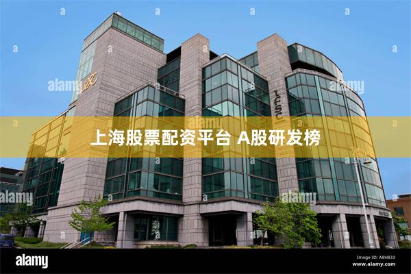 上海股票配资平台 A股研发榜