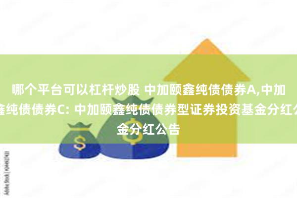 哪个平台可以杠杆炒股 中加颐鑫纯债债券A,中加颐鑫纯债债券C: 中加颐鑫纯债债券型证券投资基金分红公告